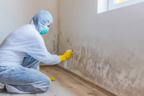 Licensed Crawl Space Mold Removal service in Hanover, MD - WQB Mold Removal