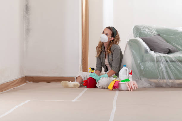 Trusted Crawl Space Mold Removal service in Hanover, MD - WQB Mold Removal